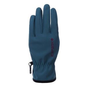 Icepeak Unisex Adult Hustonville Gloves / Green